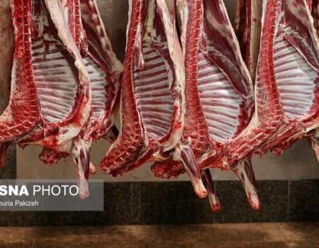 رئیس اتحادیه گوشت دامی مشهد: نرخ گوشت قرمز در مشهد پایین‌تر از میانگین کشوری است