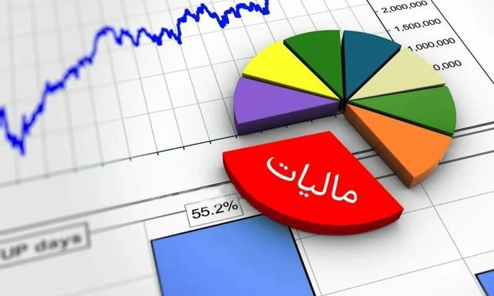رشد ۱۳۶ درصدی سهم ورزش همگانی خراسان رضوی از درآمد‌های مالیاتی